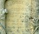 George D Gibson (I16488)