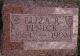 Elizabeth Rebecca (Ingalsbe) Pinick 1864-1902
