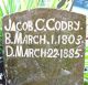 Jacob Cox Godbey Headstone