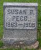 Susan Barbara (Clemens) Pegg 1863-1905